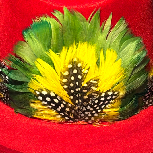 Vintage 1970s Feather Hat Band