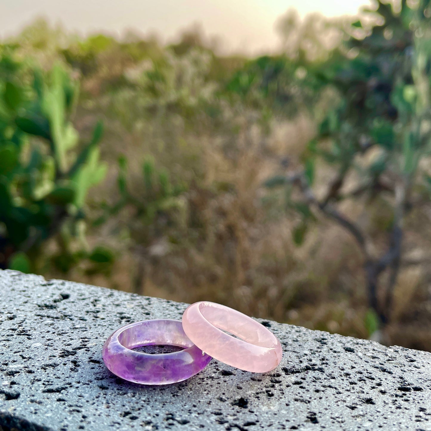 purple amethyst and rose quartz rings paired together on a piece of lava, with plants in the background in mexico, by whitestone jewelry co.