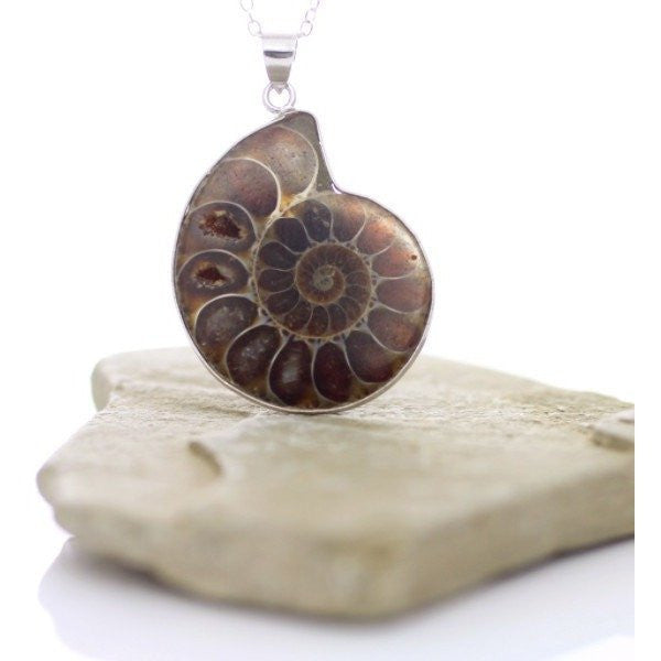 Nautilus Shell Fossil Necklace-Whitestone Jewelry Co.