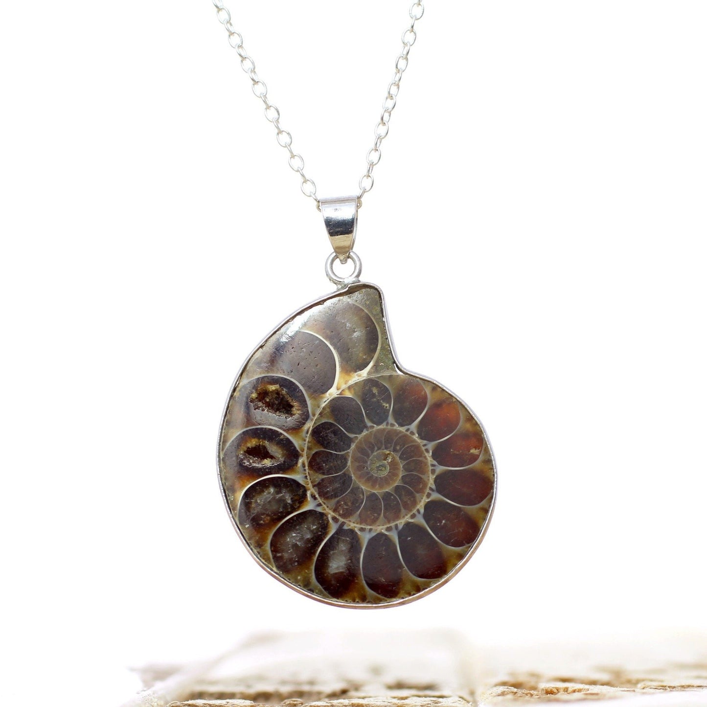 Nautilus Shell Fossil Necklace-Whitestone Jewelry Co.