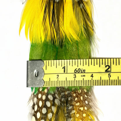 Feathers with a measuring tape showing their length on a white background
