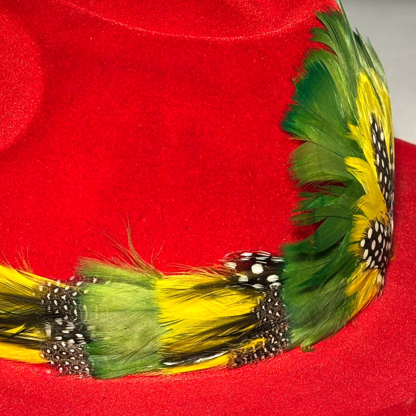 Vintage 1970s Feather Hat Band