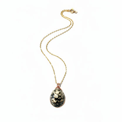 Shell limpet pendant with gold accents on a white background, with 18 inch gold chain