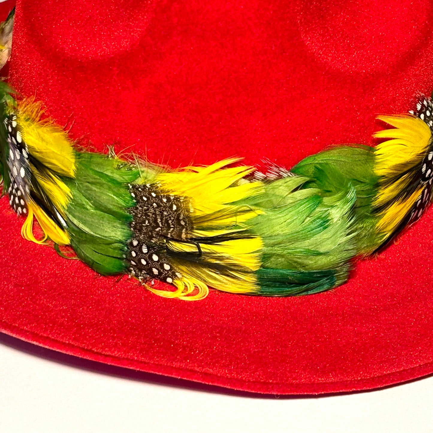 Vintage 1970s Feather Hat Band