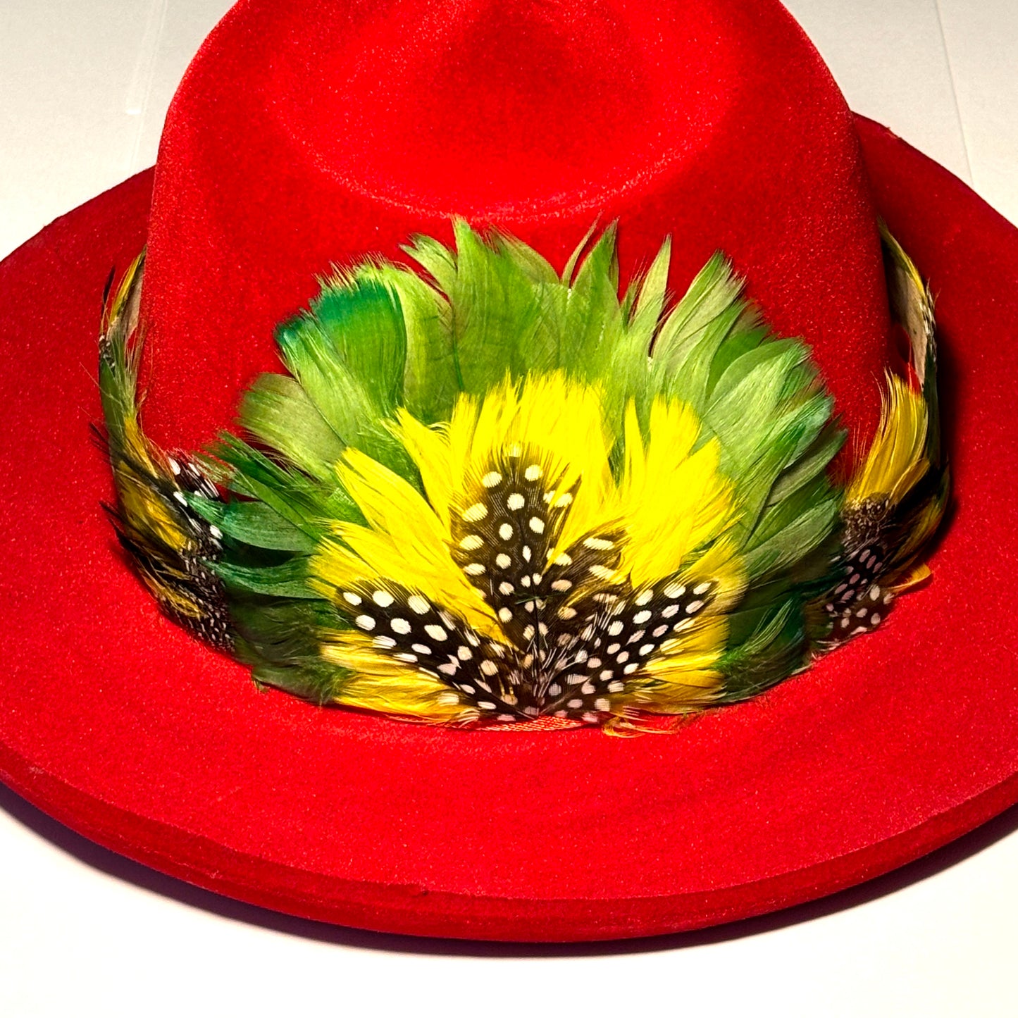 Vintage 1970s Feather Hat Band