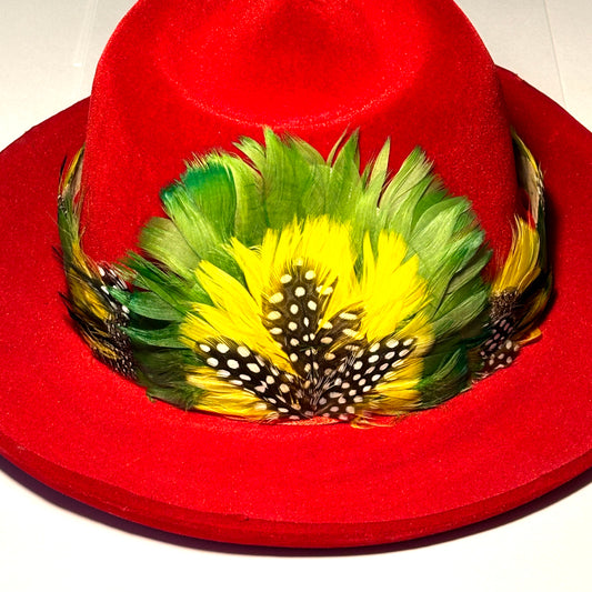 Vintage 1970s Feather Hat Band