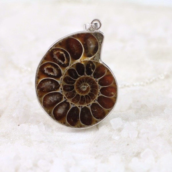 Nautilus Shell Fossil Necklace-Whitestone Jewelry Co.