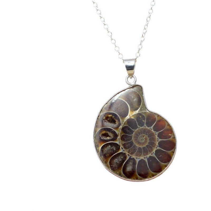 Nautilus Shell Fossil Necklace-Whitestone Jewelry Co.